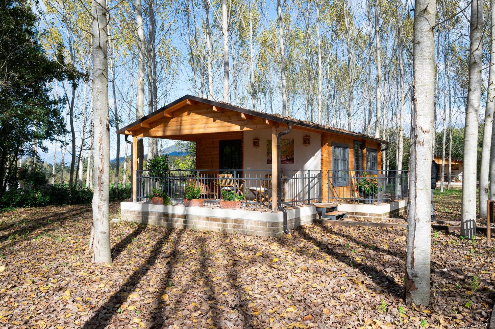 Vairano Patenora Family Farm Soc. Agr. A R.L. 빌라 외부 사진